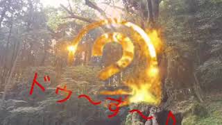 佐賀県の『樹齢3000年大楠の木』パワースポットらしいですよ♪すごい神秘的な映像♪
