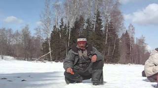 Gunča par ledus biezumu