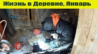 У каждого свои игрушки ? Жизнь в деревне. Январь 2020