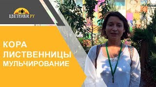 Ландшафтный дизайнер о применении коры лиственницы от компании  «Цветники РУ» для мульчирования сада