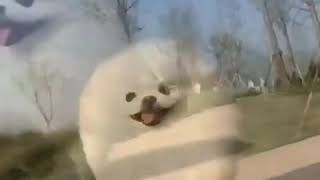 Видео Приколы Юмор Фэйлы Смех Ржака Fail Funny Vines 1999