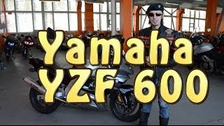 [Докатились!] Обзор Yamaha YZF 600 Thundercat. Задиристый котик.
