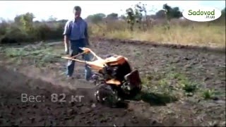 Дизельный мотоблок Кентавр МБ 3040Д в работе