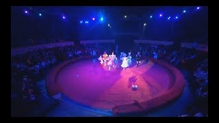 Праздничное шоу "Звездные дети" - Одесский цирк -20.12.2019