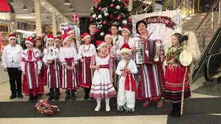 Щедрик щедрик щедрівочка, прилетіла ластівочка! Українські щедрівки. Дастор. Закарпаття колядує.
