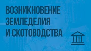 Возникновение земледелия и скотоводства. Видеоурок по Всеобщей истории 5 класс