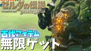 【BotW/バグ】古代アイテム増殖バグ！【ゼルダの伝説　ブレスオブザワイルド】