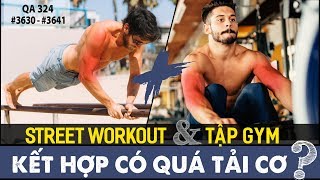 QA 324 - Kết hợp GYM và street workout có quá tải cơ bắp?
