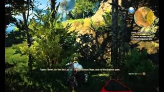 Прохождение The Witcher 3: Wild Hunt #25 Бес против черта
