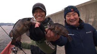 海釣り公園でメバリング　日中でも良型メバル連発！（四季の釣り/2019年1月18日放送）
