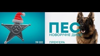 Новогодний Пёс 1, 2, 3 серия дата выхода
