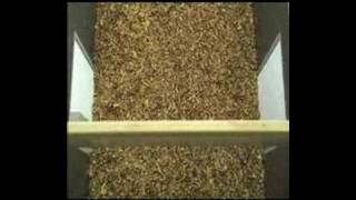 Cigarette Factory - Primary - The Tobacco Treatment Line Process