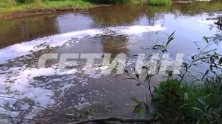 Пенная река с мыльными берегами появилась в Борском районе
