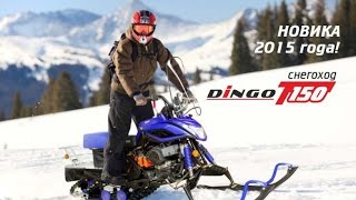Irbis Dingo 150