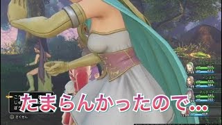 【ドラクエ11】セーニャの「聖賢装備」がたまらんかったので…