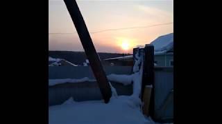ЗИМНЯЯ ТЕПЛИЦА ,  Лампа для рассады  27 февраля