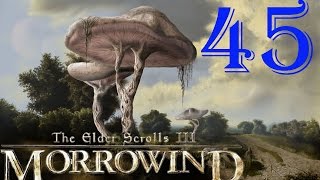 [45] TES III Morrowind  [Fullrest Repack v.1,4] Призраки в Привратном