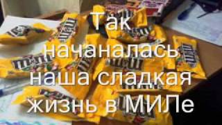 "Экватор" - фак-т международного менеджмента