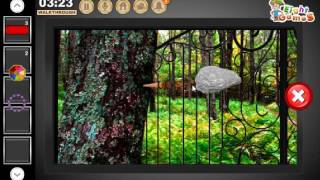 Spring Forest Escape By EightGames WalkThrough