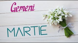 Gemeni Martie 2020 || "Aveti gandirea potrivita pentru a cuceri lumea"
