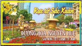 Rực Rỡ Sắc Xuân Đường Hoa Nguyễn Huệ Sài Gòn | Tết Canh Tý 2020 | lang thang Sài Gòn
