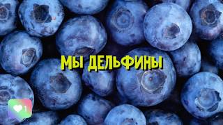 Настя Кош - Мы Дельфины (текст)