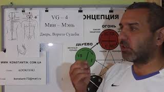 Женские и Мужские половые органы.