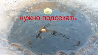 поклёвка леща зимой