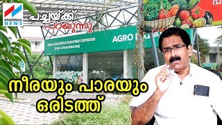 നാളികേര വികസനകോര്‍പ്പറേഷനില്‍ നാണമുളളവരുണ്ടോ PACHAKKU PARAYUNNU