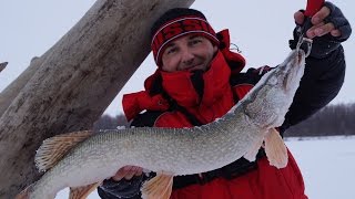 Ловля щуки на раттлины зимой | Рыбалка на щуку | Зимняя рыбалка