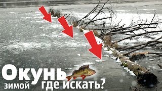 Где искать окуня на протяжении всей зимы? Где ловить окуня в декабре январе и феврале?