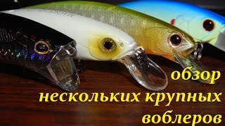 Обзор нескольких крупных воблеров