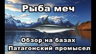 РР3. Рыба меч. Обзор. Прохождение Патагонского промысла