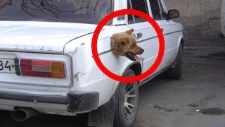 Сбои в матрице, зафиксированные на камеру
