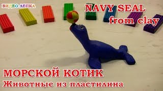 Лепка из пластилина МОРСКОЙ КОТИК | Видео Лепка