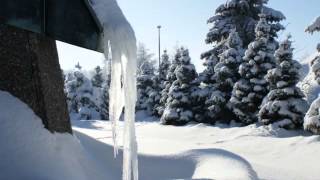 Leise rieselt der Schnee  -  Trompete: Holger Mück