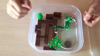 Муравьиная ферма LEGOферма 1 Муравьиная ферма своими руками Как сделать формикарий своими руками