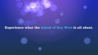 Key West Electric Car and Scooter Rental - The Best Way to Get Around - ToursKeyWest.com