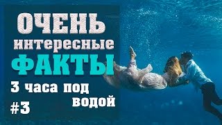 ТРИ ЧАСА ПОД ВОДОЙ. ИНТЕРЕСНЫЕ ФАКТЫ #3