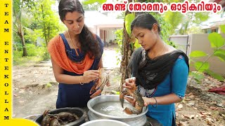 ഞണ്ടുതോരനും ഓട്ടിക്കറിയും | Crab thoran & Oatticurry | Village Cooking | Nathoons #2 | Entekollam