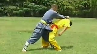 Kung Fu fighting: 36 techniques