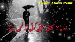 Zameer khan zameer top poetry || Pashto New Shayari By Zameer Khan || Pashto Status Point