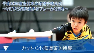 スーパープレー特集【カット/小塩遥菜】～平成30年度全日本～