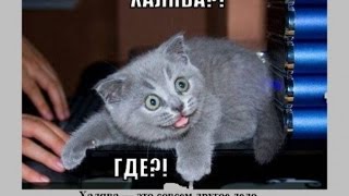 Аккаунт Diamond RP Emerald! Успей забрать на халяву! (УЖЕ ЗАБРАЛИ!)