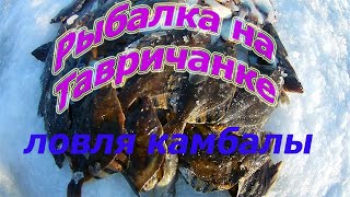 Ловля камбалы на Тавричанке, рыбалка в Амурском заливе Приморский край