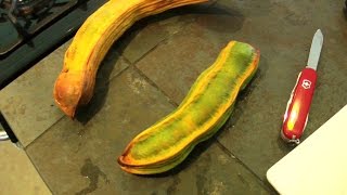 Cutting Open an Ice Cream Bean Fruit | Inga feuillei | HD Video