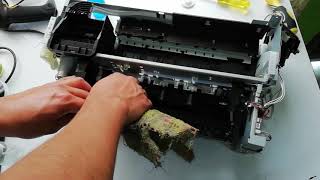 Mantenimiento completo Impresora Epson L800 L805 T50 | Desarmar y Armar | Reset | Resetear
