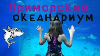 Поход в Приморский океанариум на о. Русский на день рождения дочери. Видеомонтаж в Camtasia Studio 9