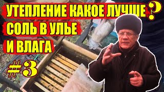 Как зимуют пчелы Разное утепление ульев Осмотр 3