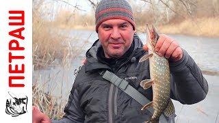 ЗИМНИЙ СПИННИНГ на реке Тест приманки Мик Маус